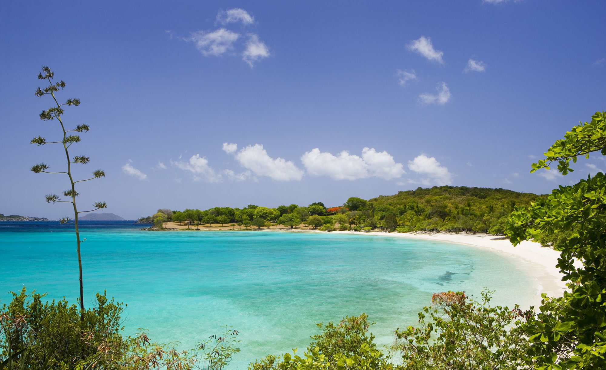 Caneel Bay Resort Cruz Bay Eksteriør bilde