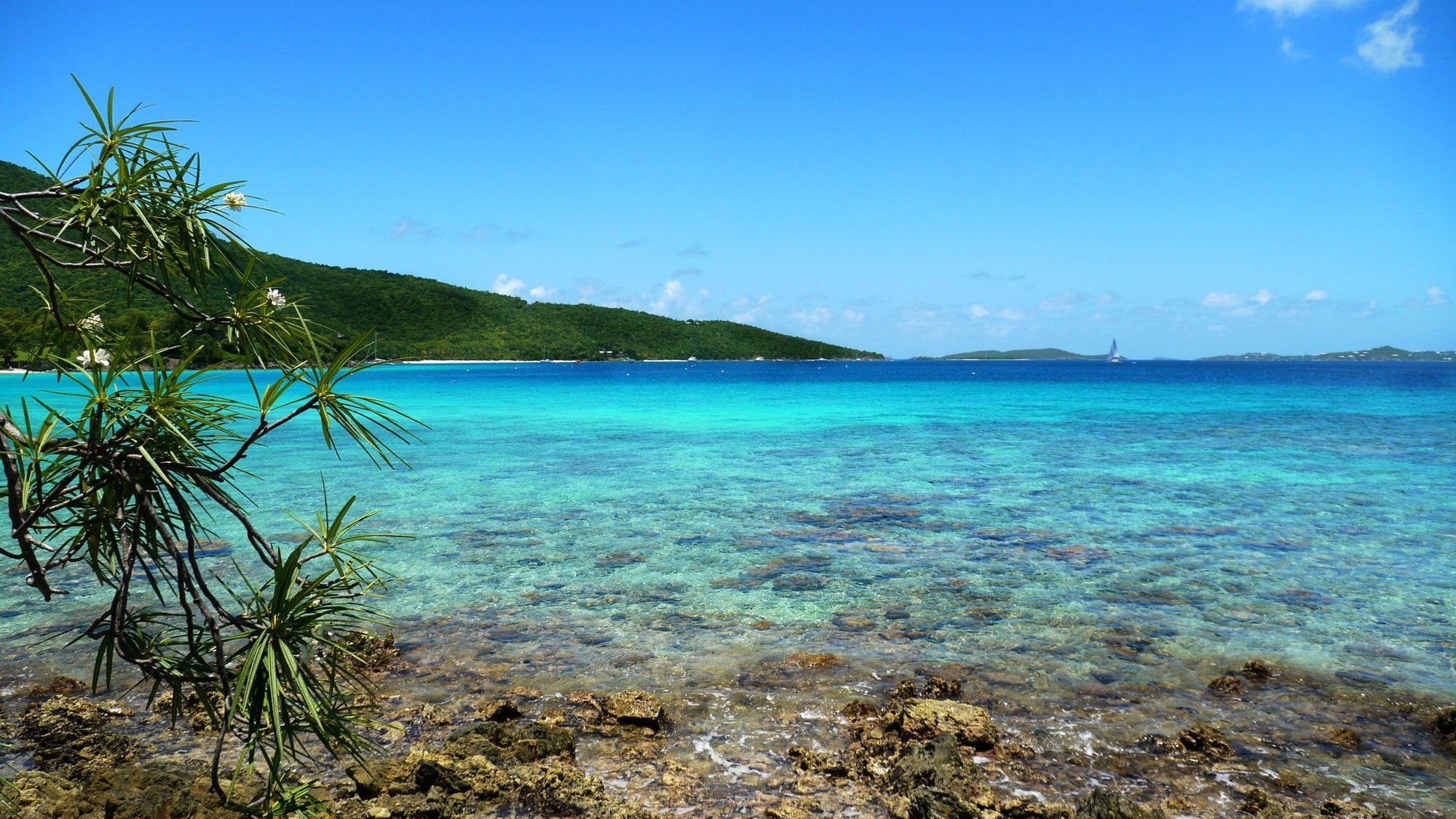 Caneel Bay Resort Cruz Bay Fasiliteter bilde