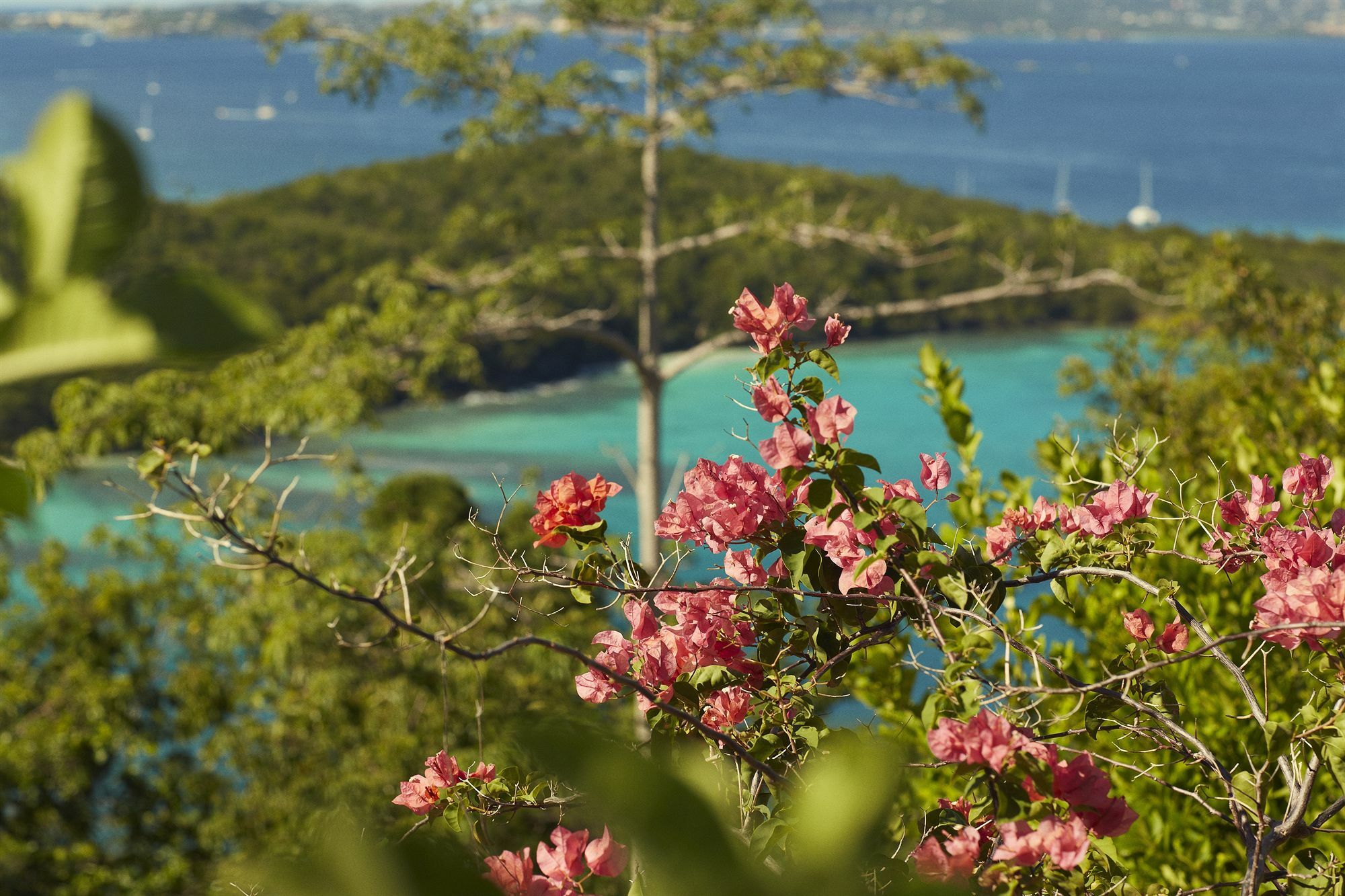 Caneel Bay Resort Cruz Bay Eksteriør bilde