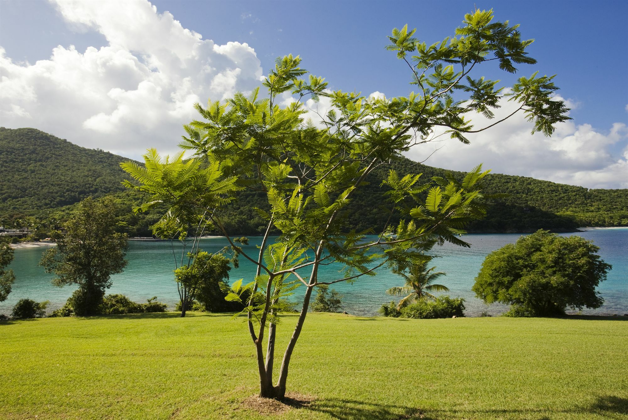 Caneel Bay Resort Cruz Bay Eksteriør bilde